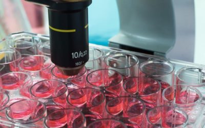 Beware of the use of fertilised embryos without the written consent of the deceased
