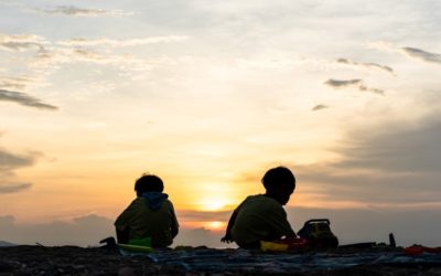 Balancing sibling contact and placement in adoption decisions