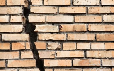 Finding of Transnational Marriage Abandonment is not merely semantic